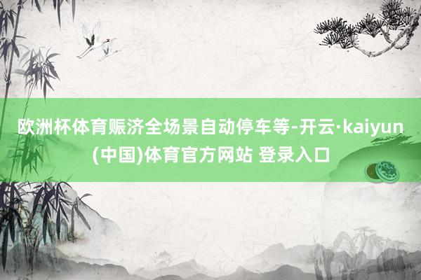 欧洲杯体育赈济全场景自动停车等-开云·kaiyun(中国)体育官方网站 登录入口