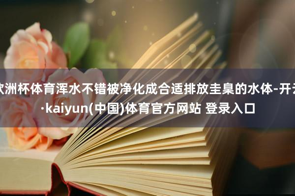 欧洲杯体育浑水不错被净化成合适排放圭臬的水体-开云·kaiyun(中国)体育官方网站 登录入口