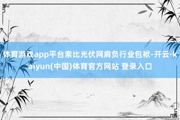 体育游戏app平台索比光伏网肩负行业包袱-开云·kaiyun(中国)体育官方网站 登录入口