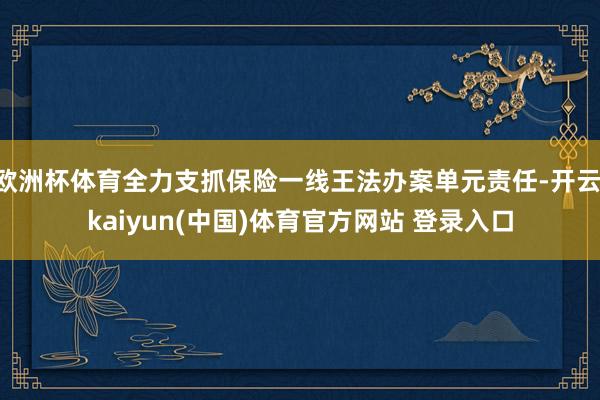 欧洲杯体育全力支抓保险一线王法办案单元责任-开云·kaiyun(中国)体育官方网站 登录入口
