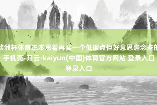 欧洲杯体育正本思着再买一个低廉点但好意思瞻念些的手机壳-开云·kaiyun(中国)体育官方网站 登录入口