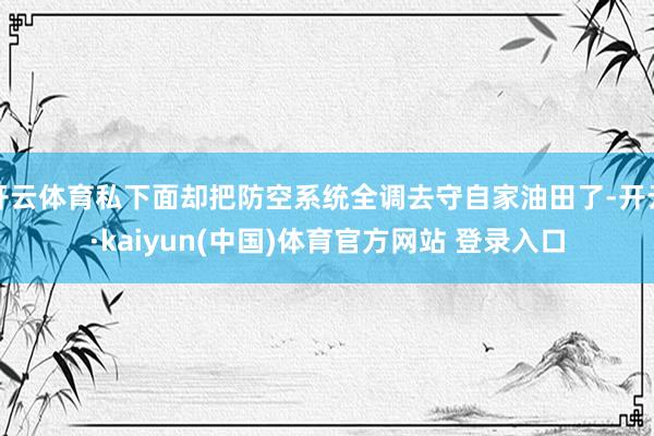 开云体育私下面却把防空系统全调去守自家油田了-开云·kaiyun(中国)体育官方网站 登录入口