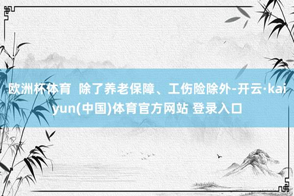 欧洲杯体育  除了养老保障、工伤险除外-开云·kaiyun(中国)体育官方网站 登录入口