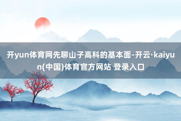 开yun体育网先聊山子高科的基本面-开云·kaiyun(中国)体育官方网站 登录入口