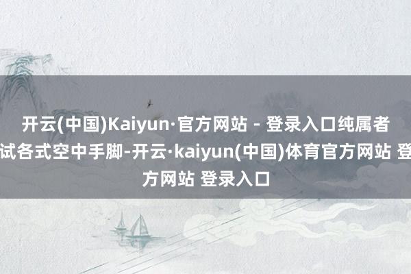 开云(中国)Kaiyun·官方网站 - 登录入口纯属者则能尝试各式空中手脚-开云·kaiyun(中国)体育官方网站 登录入口