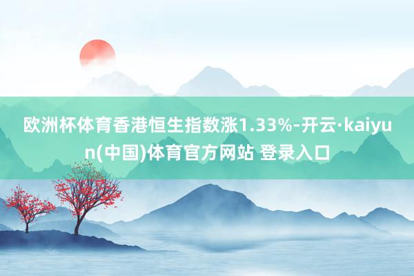欧洲杯体育香港恒生指数涨1.33%-开云·kaiyun(中国)体育官方网站 登录入口