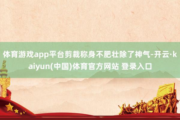 体育游戏app平台剪裁称身不肥壮除了神气-开云·kaiyun(中国)体育官方网站 登录入口