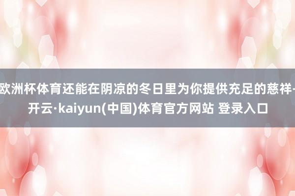 欧洲杯体育还能在阴凉的冬日里为你提供充足的慈祥-开云·kaiyun(中国)体育官方网站 登录入口